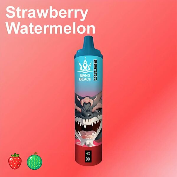 Bang Beach 22000 Puffs Disposable Vape – Big Clouds, Fresh Flavors, All-Day Performance