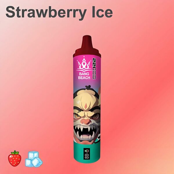 Bang Beach 22000 Puffs Disposable Vape – Big Clouds, Fresh Flavors, All-Day Performance