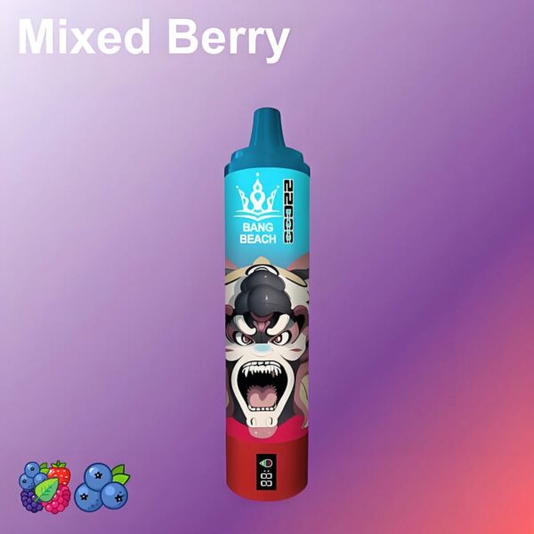 Bang Beach 22000 Puffs Disposable Vape – Big Clouds, Fresh Flavors, All-Day Performance