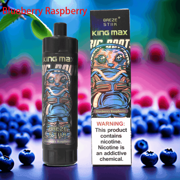 Breze Stiik BS KingMax 10000 – 20mL Mesh Coil Disposable Vape with Adjustable Airflow & Type-C Charging (0%–2% Nicotine)