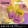 Bang Leader 80000 Puffs 3-in-1 Disposable Vape – Rechargeable & Original Flavors