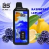 Breze Stiik BS BLAZE 10000 – Rechargeable Disposable Vape with Mesh Coil & 18mL E-liquid